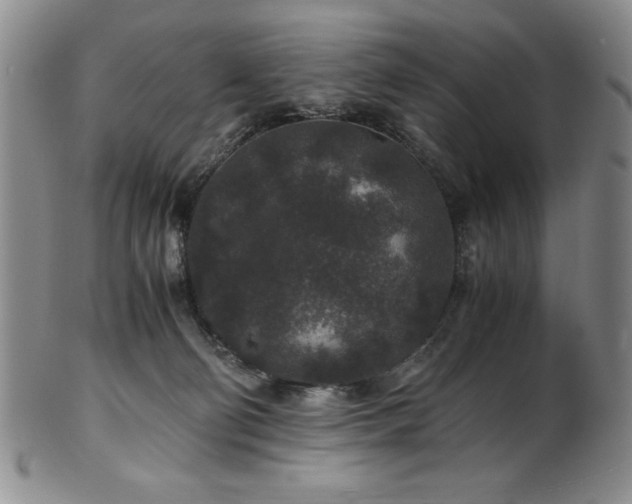 X0000101710130200807101614