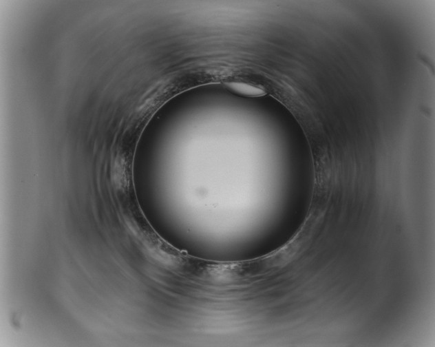 X0000101710136200807101614