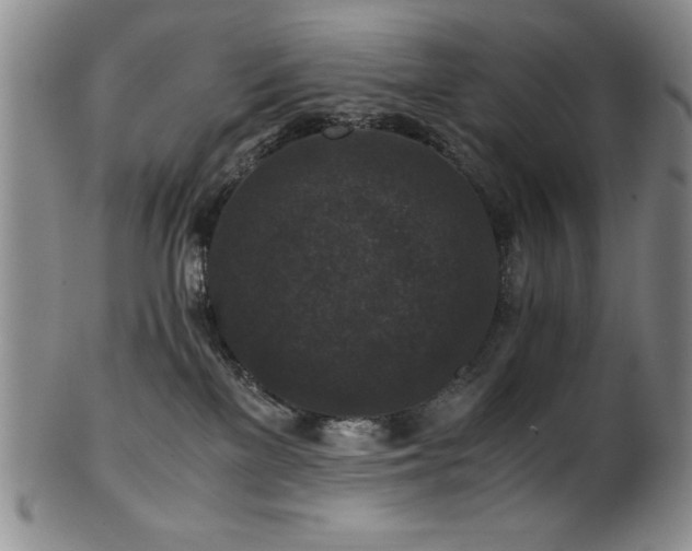 X0000101710137200807101614