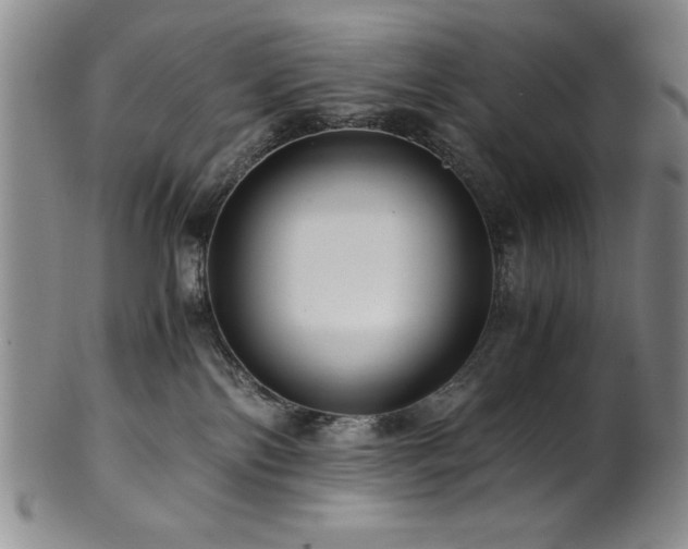 X0000101710138200807101614