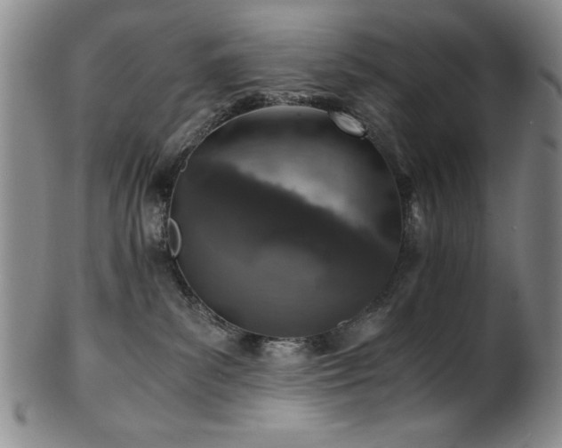 X0000101710139200807101614