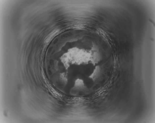 X0000101710145200807101613