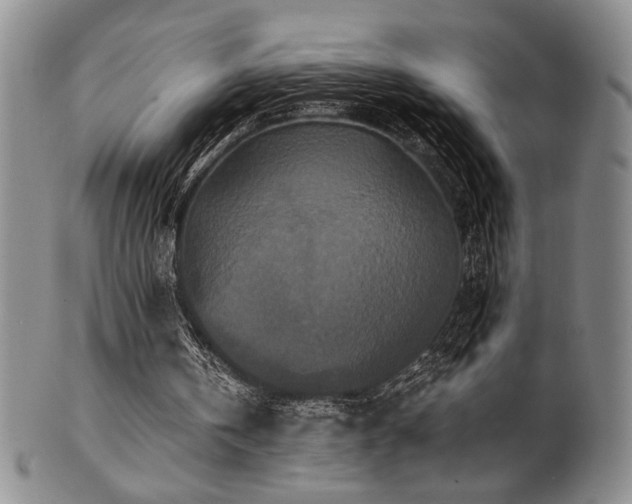 X0000101710146200807101613