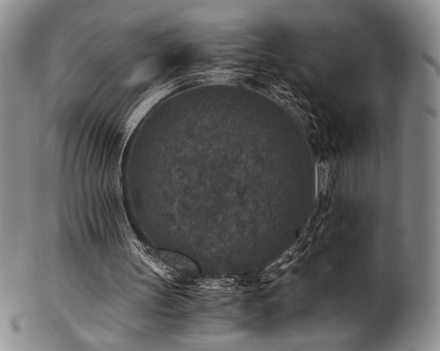 X0000101710147200807101613