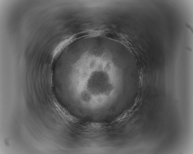 X0000101710149200807101613