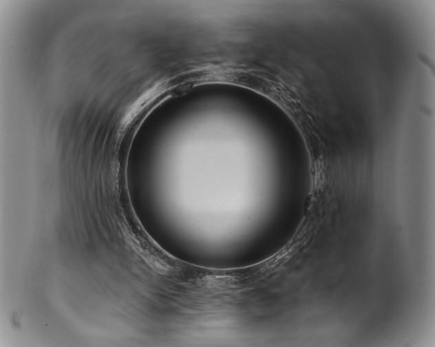 X0000101710150200807101613