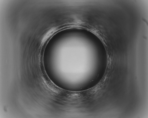 X0000101710151200807101613