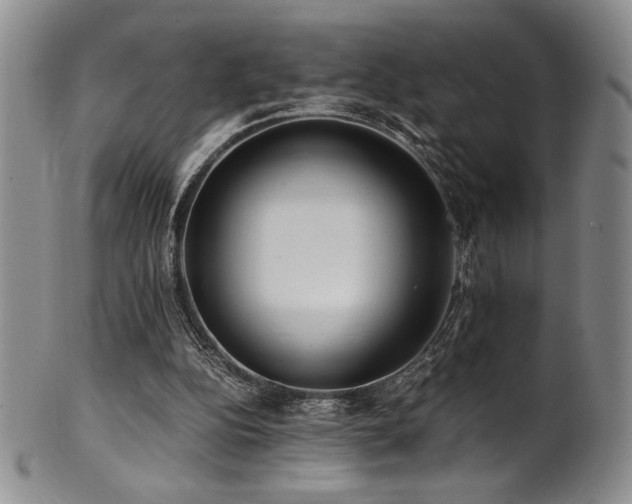 X0000101710152200807101613