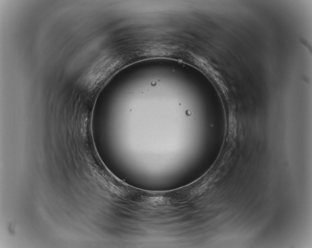 X0000101710153200807101613