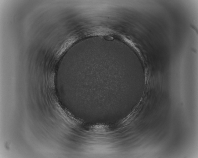 X0000101710154200807101613