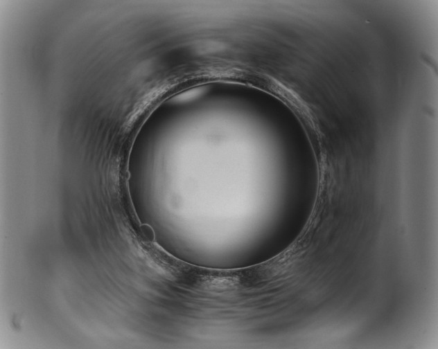 X0000101710155200807101613