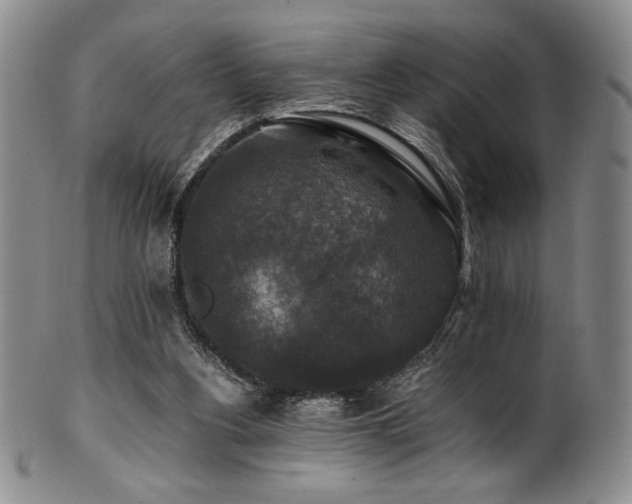 X0000101710156200807101613