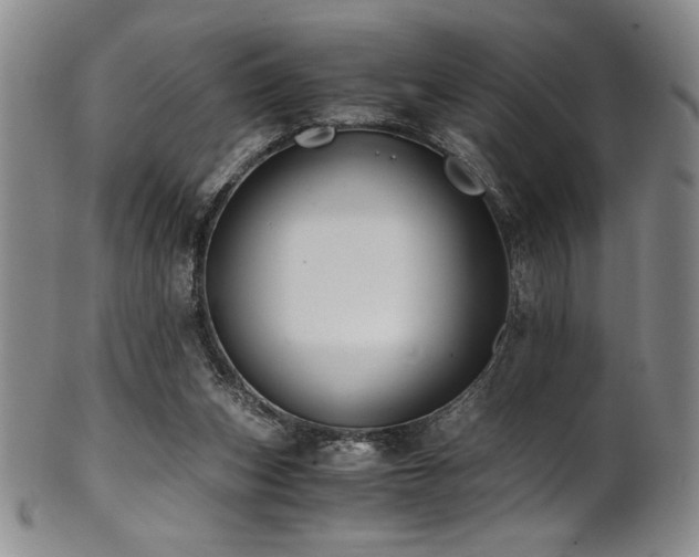 X0000101710159200807101613