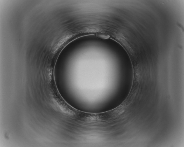 X0000101710160200807101613