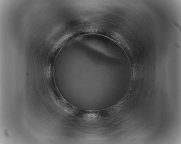 X0000101710163200807101613
