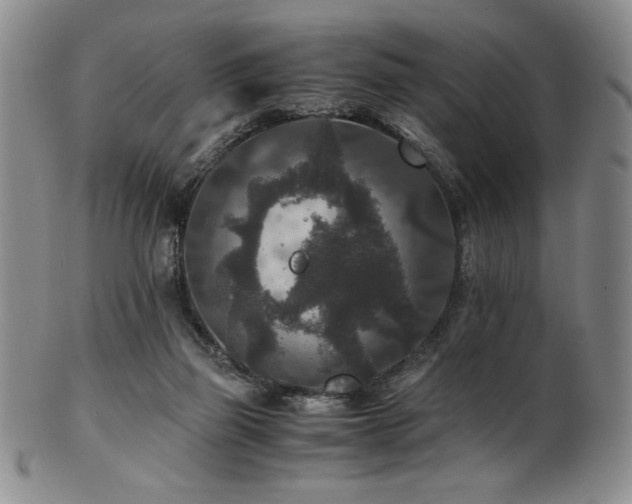 X0000101710165200807101613