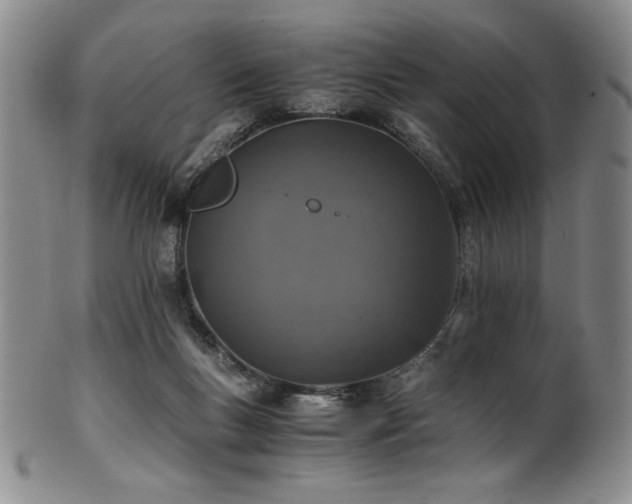 X0000101710167200807101613
