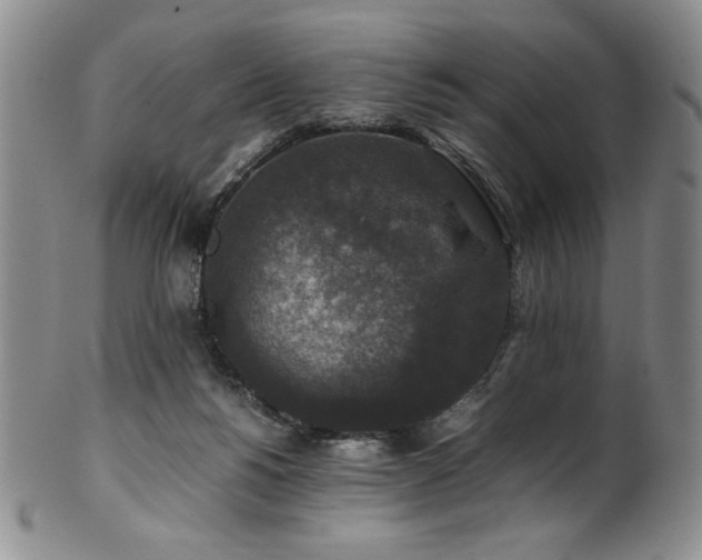 X0000101710168200807101613
