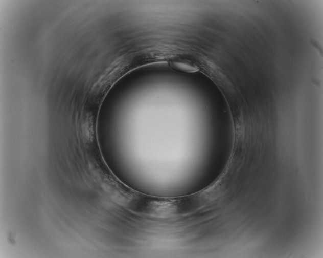 X0000101710170200807101613