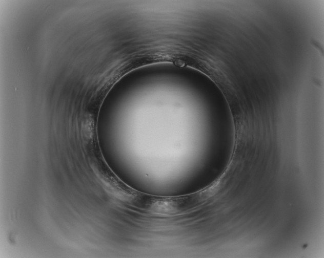 X0000101710174200807101613