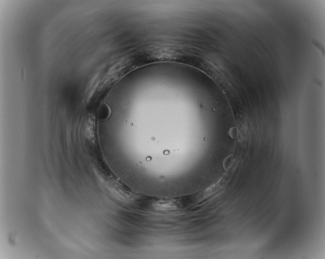 X0000101710175200807101613