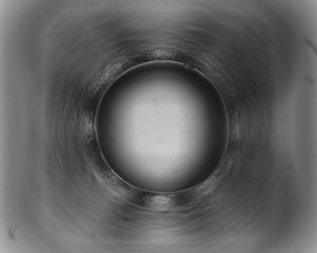 X0000101710176200807101613