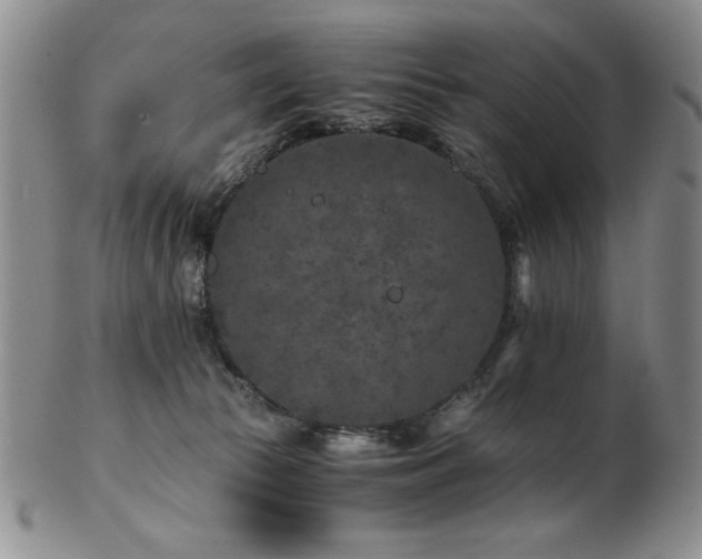 X0000101710177200807101613