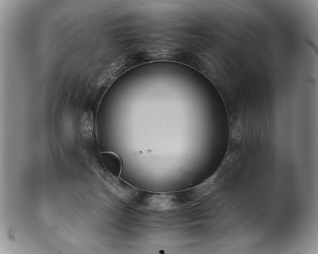 X0000101710179200807101613