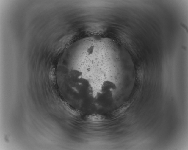 X0000101710181200807101613