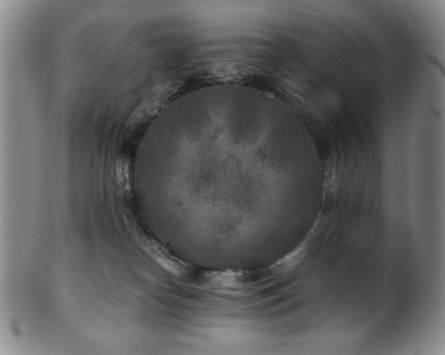 X0000101710182200807101613