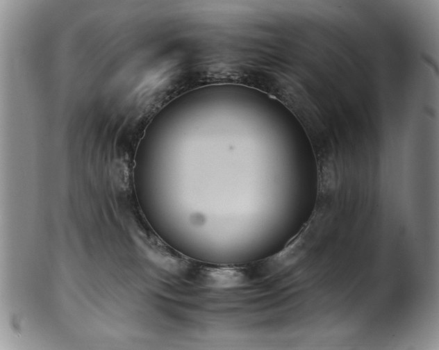 X0000101710183200807101613