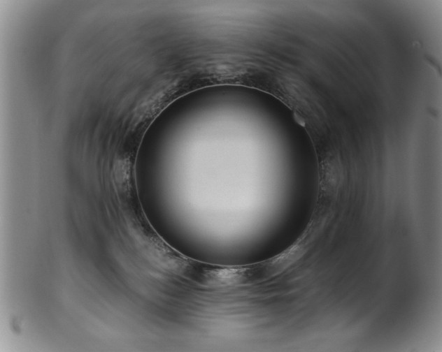 X0000101710184200807101613