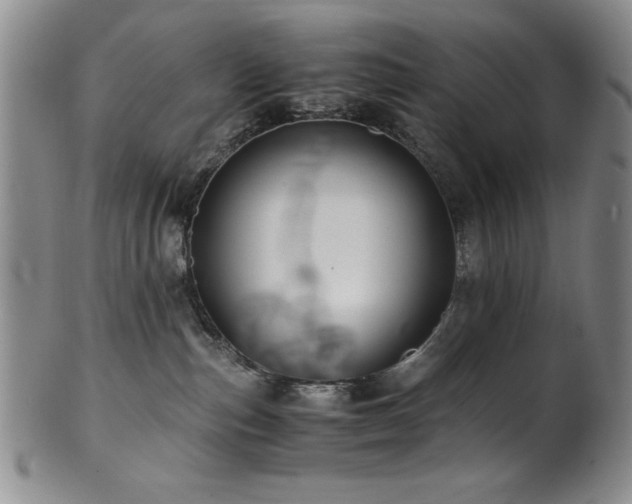 X0000101710187200807101613