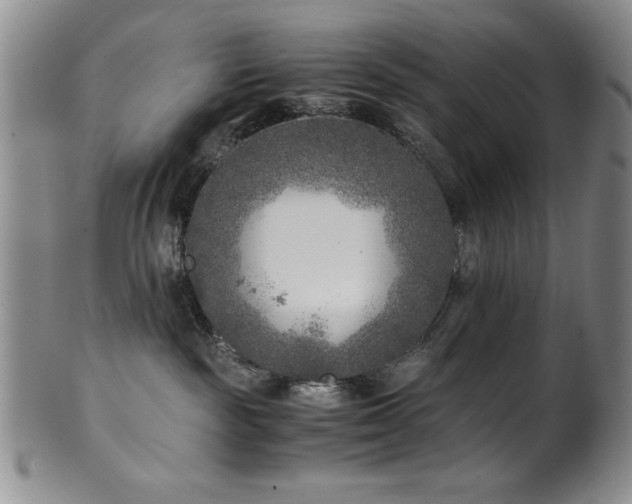 X0000101710189200807101613
