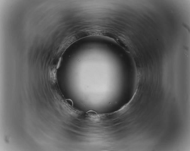 X0000101710190200807101613