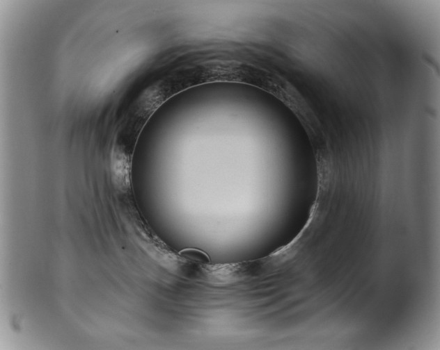 X0000101710191200807101613