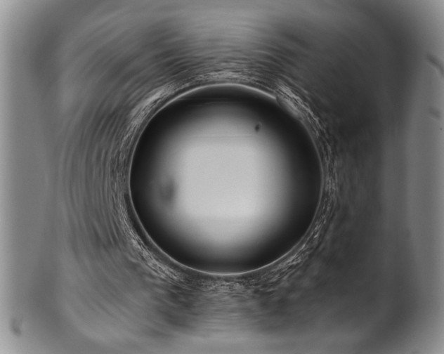 X0000101710193200807101613