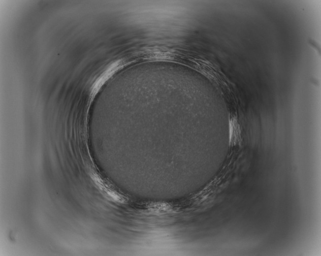 X0000101710195200807101613