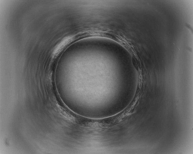 X0000101710197200807101613