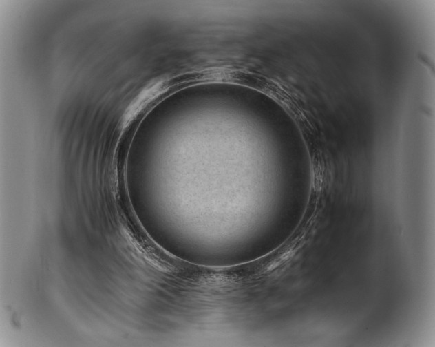 X0000101710198200807101613