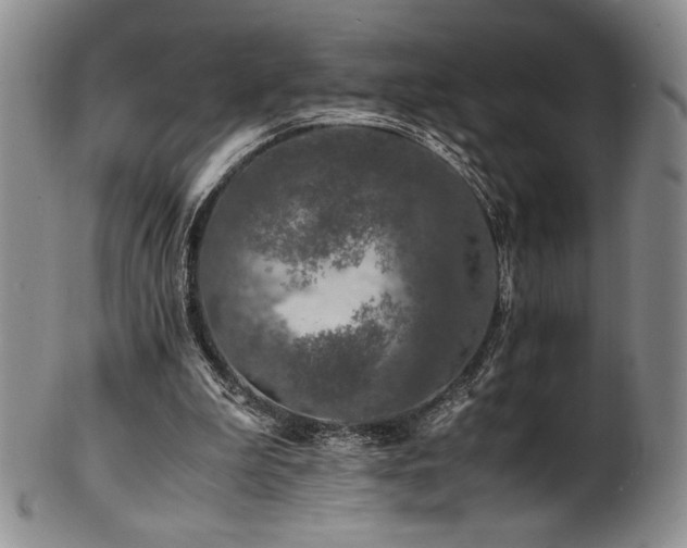 X0000101710199200807101613
