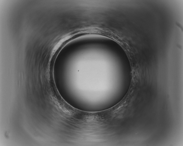 X0000101710200200807101613