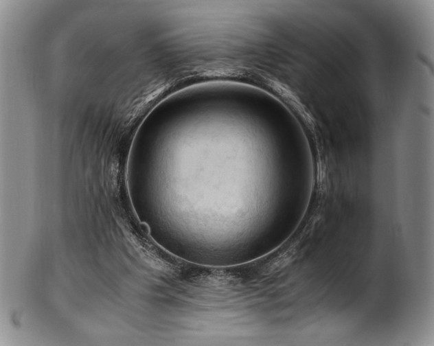X0000101710201200807101613