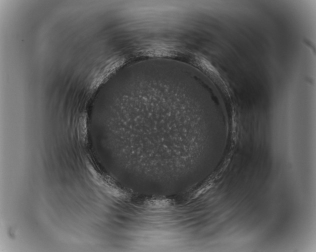 X0000101710202200807101613