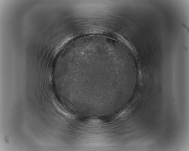 X0000101710203200807101613