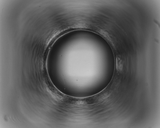 X0000101710204200807101613