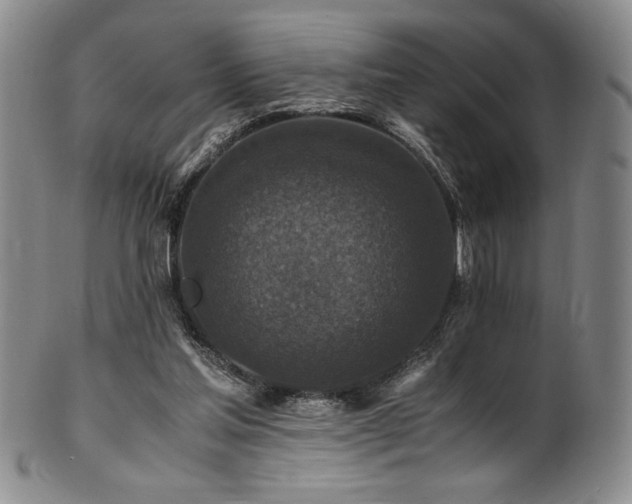X0000101710205200807101613