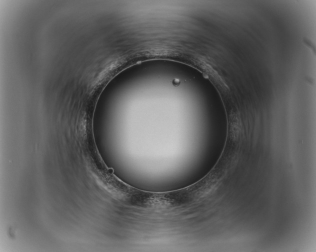 X0000101710207200807101613