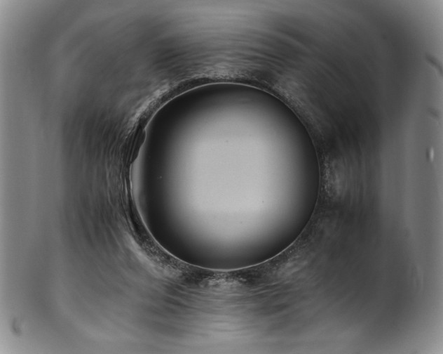 X0000101710208200807101613