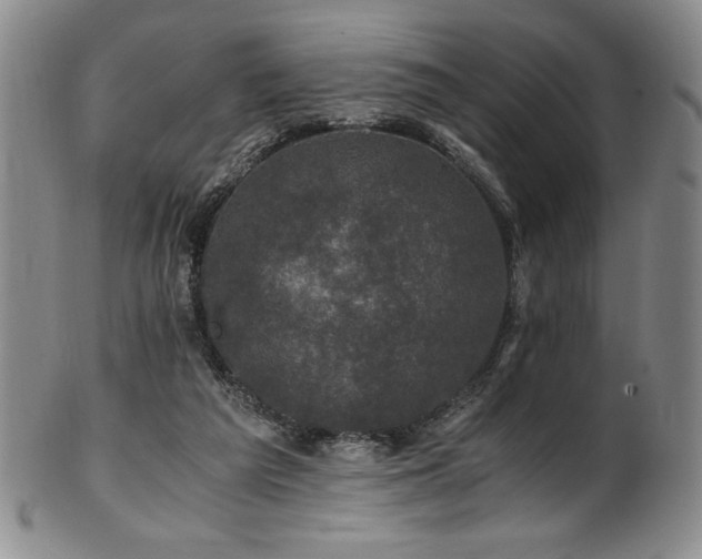 X0000101710209200807101613